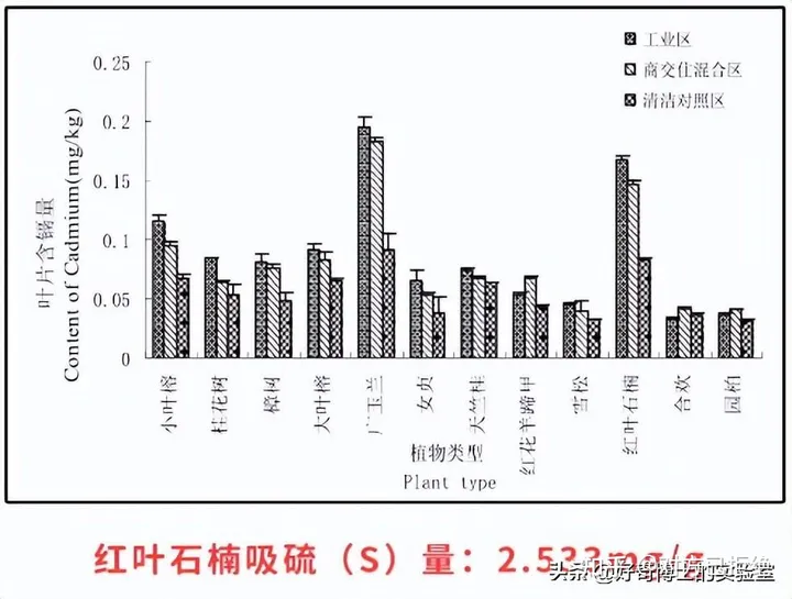 石楠花为什么臭臭的 石楠花那么臭为什么还满大街种