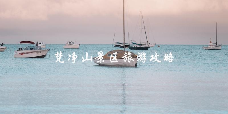 梵净山景区旅游攻略：直击旅游热点，玩转最佳路线！