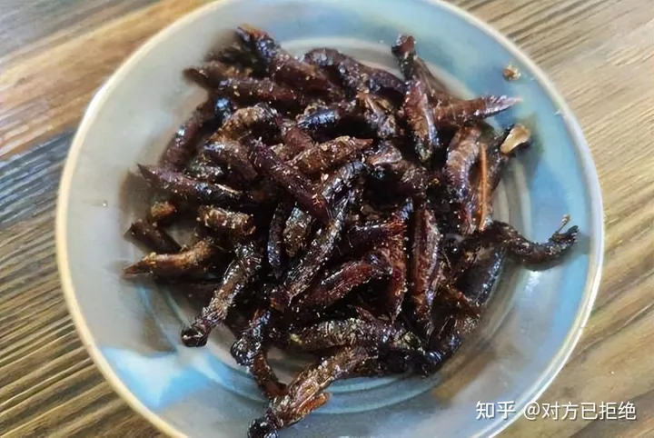 水虿1年能吃掉3000只蚊子8年才能长大 如今却变成了餐桌上的美食