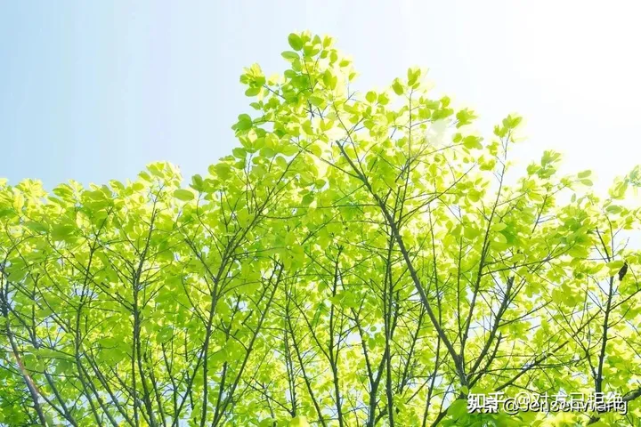 我吹过你吹过的风 在古诗词的美好情境中相逢
