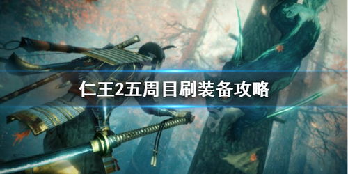 仁王 五周目后怎么刷装备