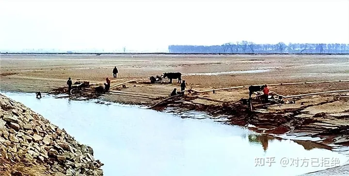 1965年黄河发现超级巨龟 不久后又神秘失踪真相是什么