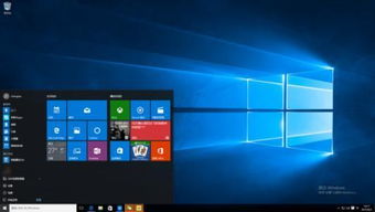 win10电脑显示器序列号