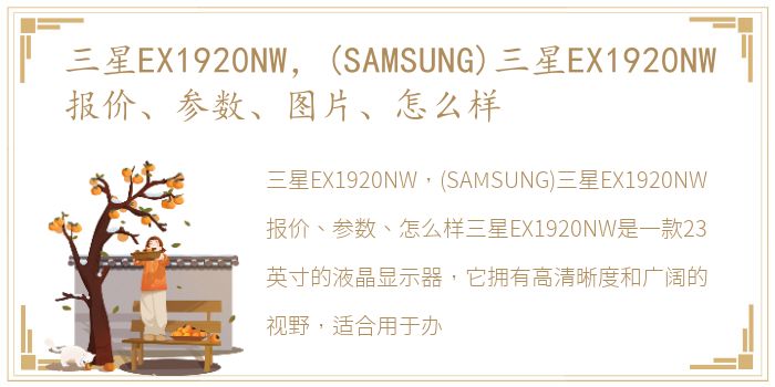 三星EX1920NW报价、参数、图片、怎么样