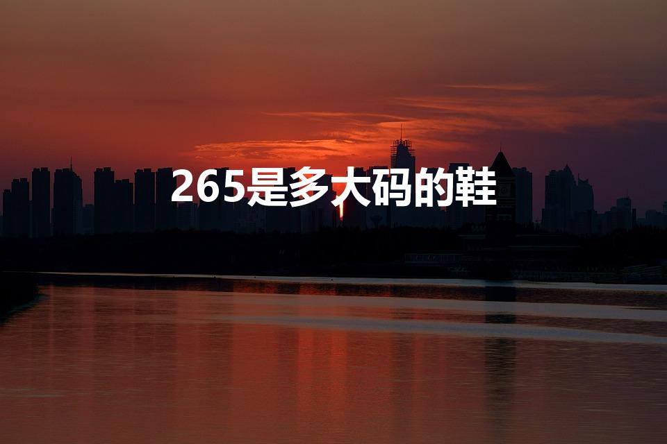 265是多大码的鞋（鞋号265是多大的是4几的）