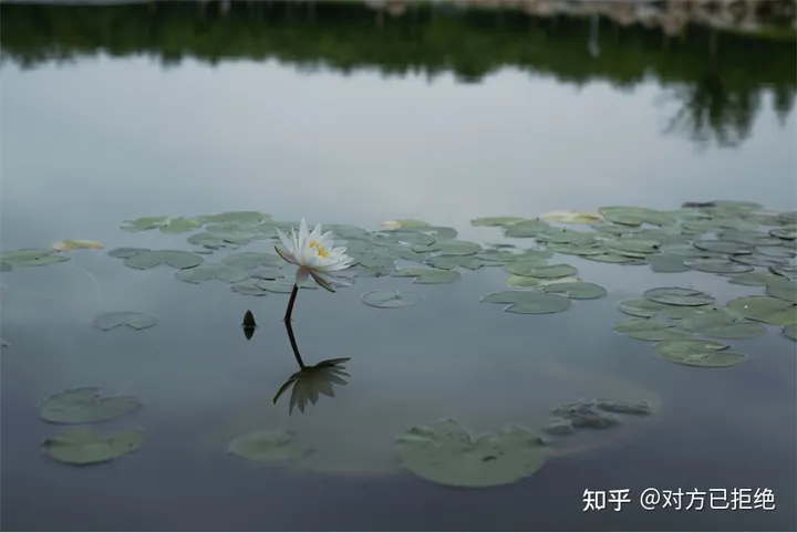 为什么专业摄影师用raw格式拍照片 RAW格式的优缺点是什么