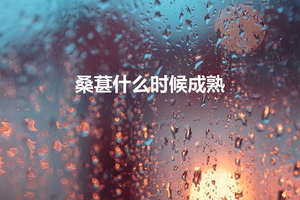 桑葚什么时候成熟（桑葚什么时候成熟的）