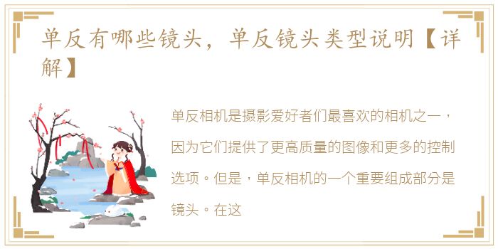 单反有哪些镜头，单反镜头类型说明【详解】