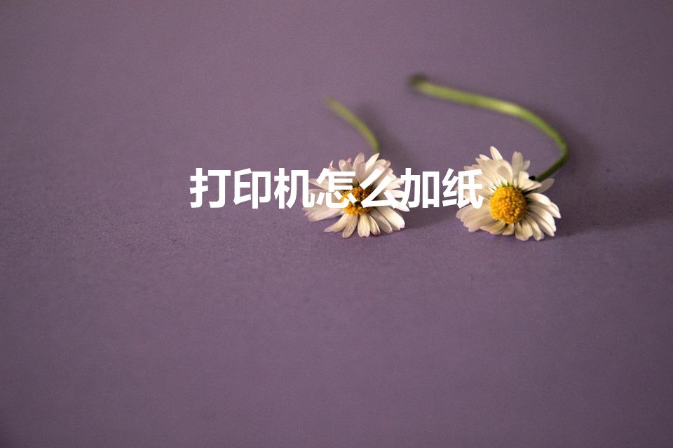 打印机怎么加纸（打印机如何添加纸张）