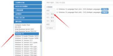 msdn win10纯净版