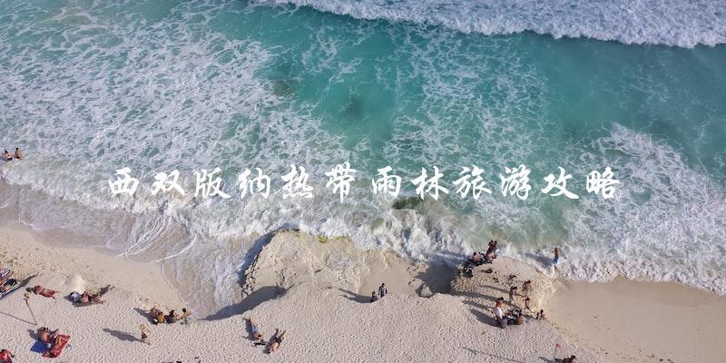西双版纳热带雨林旅游攻略：必看指南！