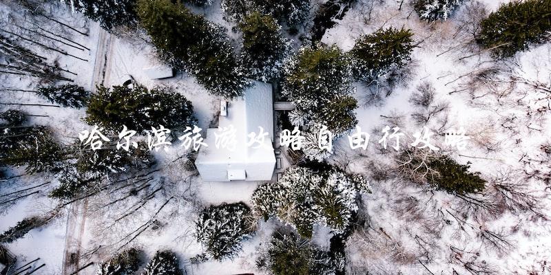 自由行攻略：哈尔滨旅游必备指南