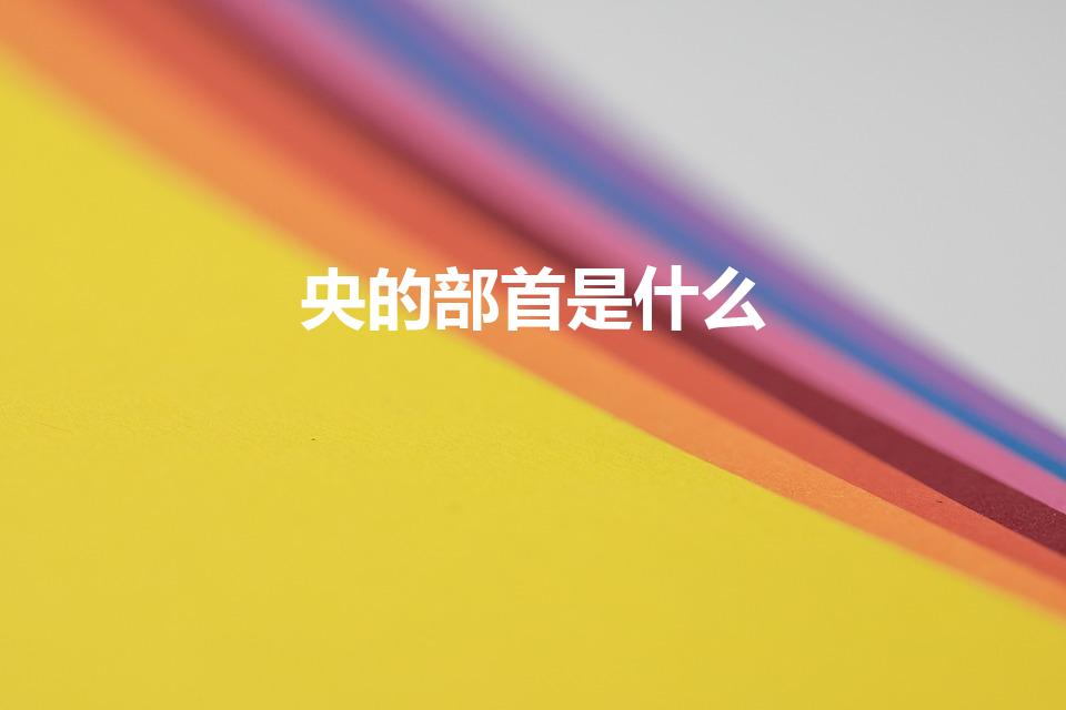 央的部首是什么（央字敀部首）