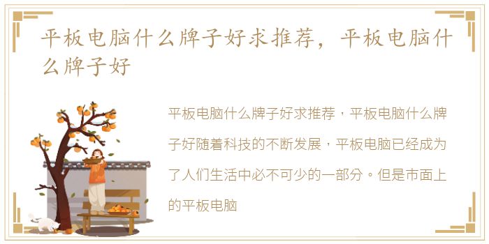 平板电脑什么牌子好求推荐，平板电脑什么牌子好