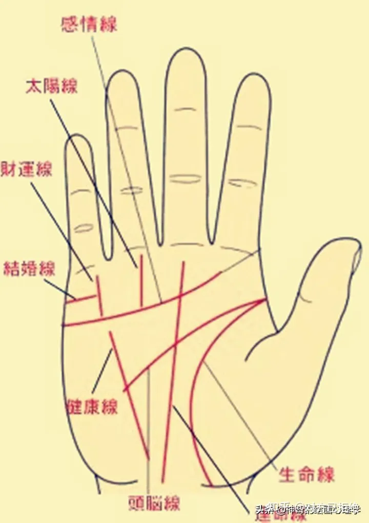 星座和塔罗牌为什么会让人觉得准 究竟是科学还是迷信呢