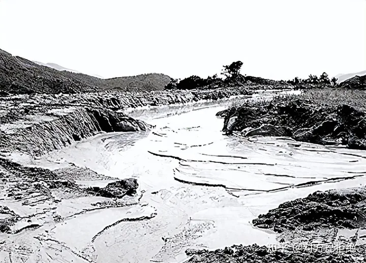 1965年黄河发现超级巨龟 不久后又神秘失踪真相是什么