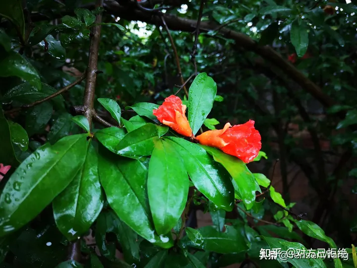 我吹过你吹过的风 在古诗词的美好情境中相逢