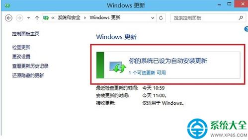 怎么查看设置自动更新选项的策略类型