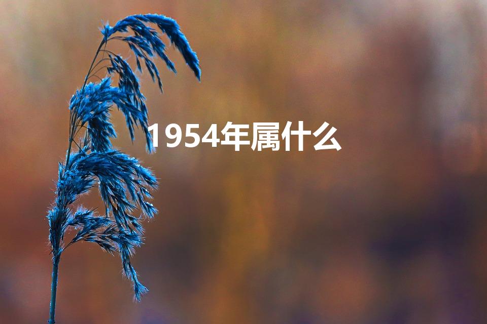 1954年属什么（生肖查询:1954年属什么生肖）