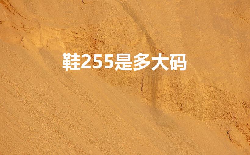 鞋255是多大码（鞋子上标的255是多少码）