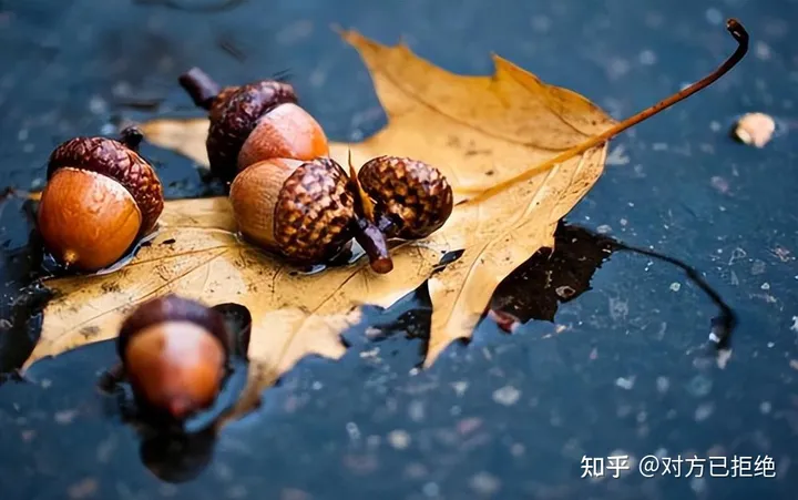 它是一种做豆腐的好材料 为什么如今却很少看见了