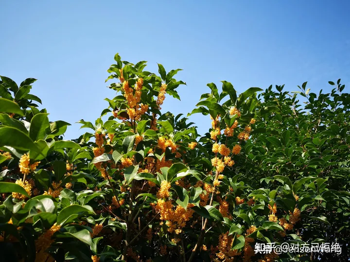 我吹过你吹过的风 在古诗词的美好情境中相逢