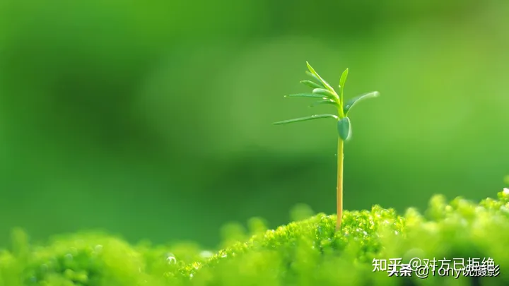 摄影基础景深是什么意思 如何控制好景深呢