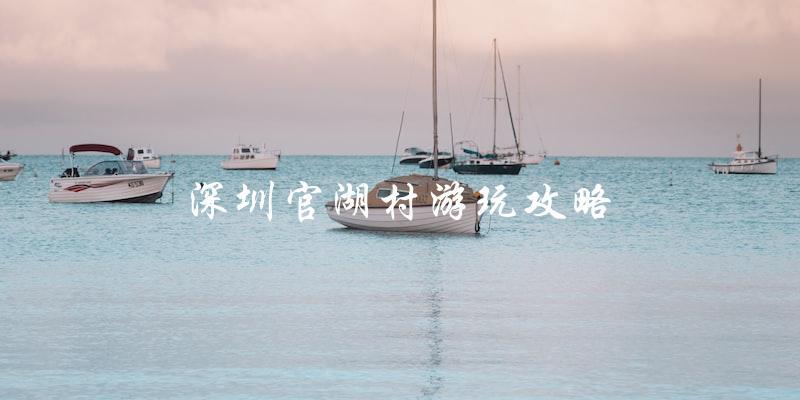 深圳官湖村游玩攻略：不容错过的旅游胜地！