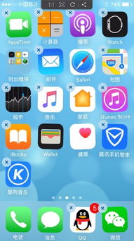苹果手机怎么删除自带的软件
