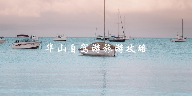 华山自驾游旅游攻略：一份直戳旅行者心的指南