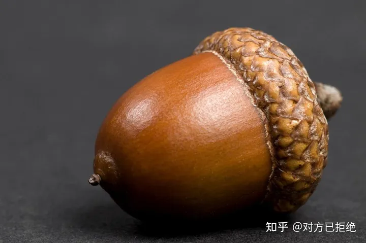 它是一种做豆腐的好材料 为什么如今却很少看见了