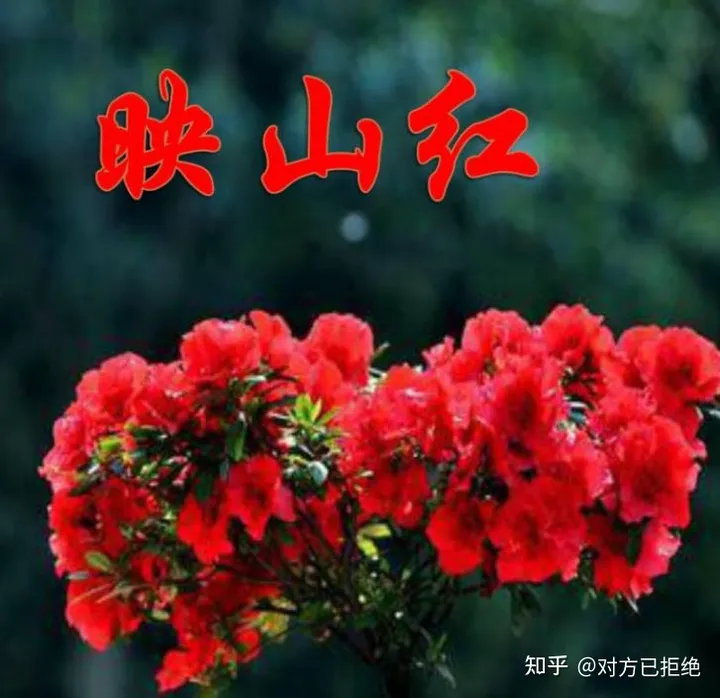 好听的红歌有哪些歌曲 好听的7首红歌推荐