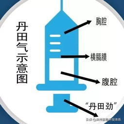 觅长生气沉丹田怎么获得