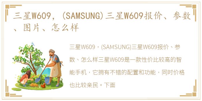 三星W609，(SAMSUNG)三星W609报价、参数、图片、怎么样