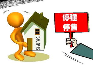 哪些小产权房能买卖？发生纠纷了法院一般怎么判