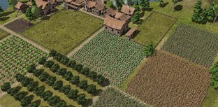 放逐之城怎么建造采集小屋