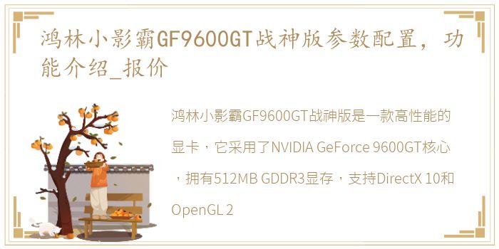 鸿林小影霸GF9600GT战神版参数配置，功能介绍_报价