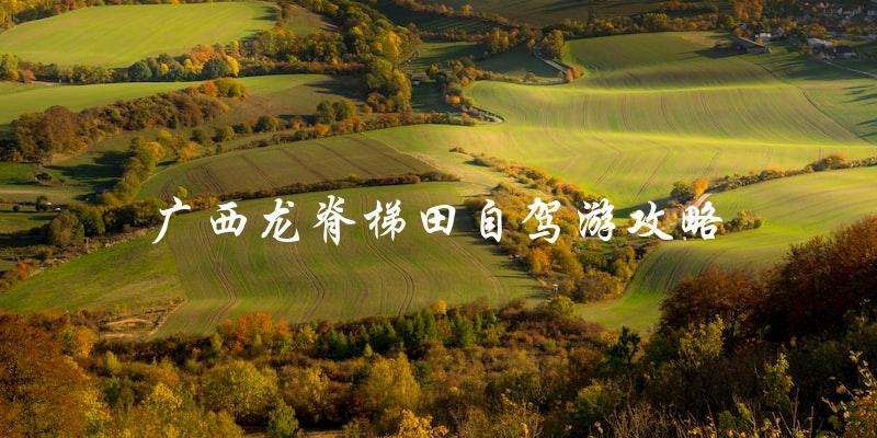 广西龙脊梯田自驾游攻略：直击美景，畅享自由之旅！