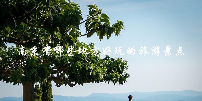 南京旅游景点推荐：玩转这些好玩的地方！