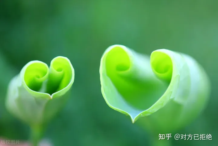 怎么写引流文案吸引人 都需要具备什么样的条件