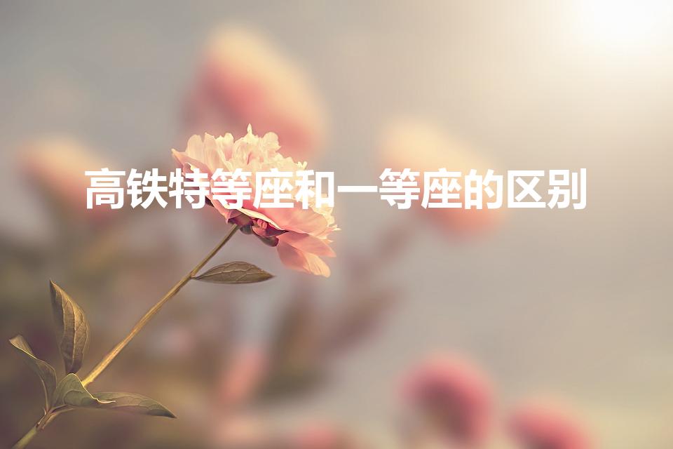 高铁特等座和一等座的区别（高铁特等座和一等座有什么区别）