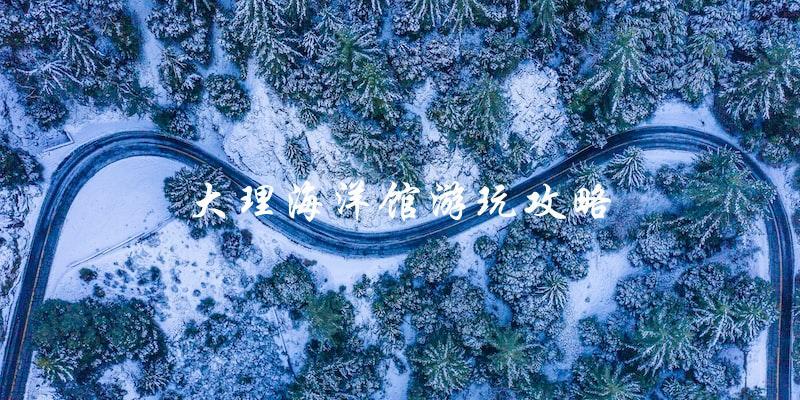 大理海洋馆游玩攻略：让你玩转海洋世界！