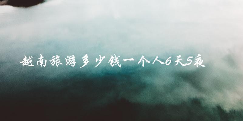 越南旅游：6天5夜一个人需要多少钱？