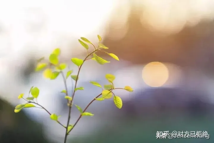 我吹过你吹过的风 在古诗词的美好情境中相逢