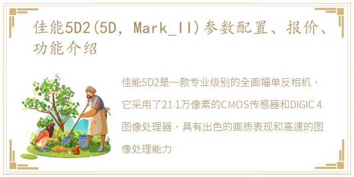佳能5D2(5D，Mark_II)参数配置、报价、功能介绍