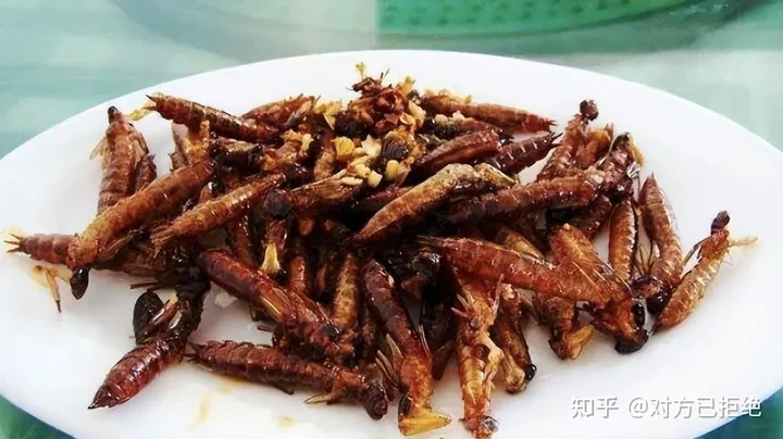 水虿1年能吃掉3000只蚊子8年才能长大 如今却变成了餐桌上的美食