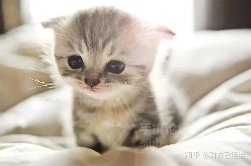 我吹过你吹过的晚风 我们算不算相拥呢