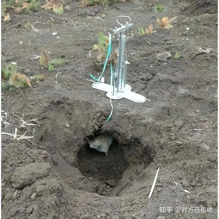 鼹鼠曾对土地庄稼的有害 为何如今却很少看见了呢