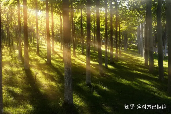 神圣之光背后的魔术师 丁达尔效应